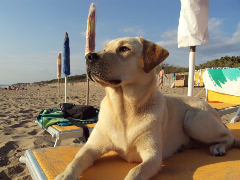 Dolce Vita Campiglia Marittima Luaran gambar