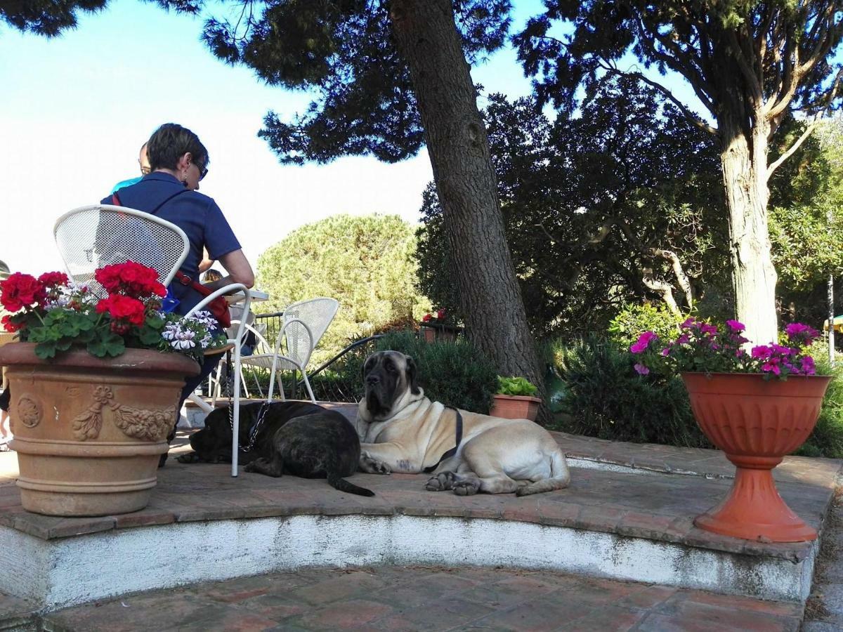 Dolce Vita Campiglia Marittima Luaran gambar