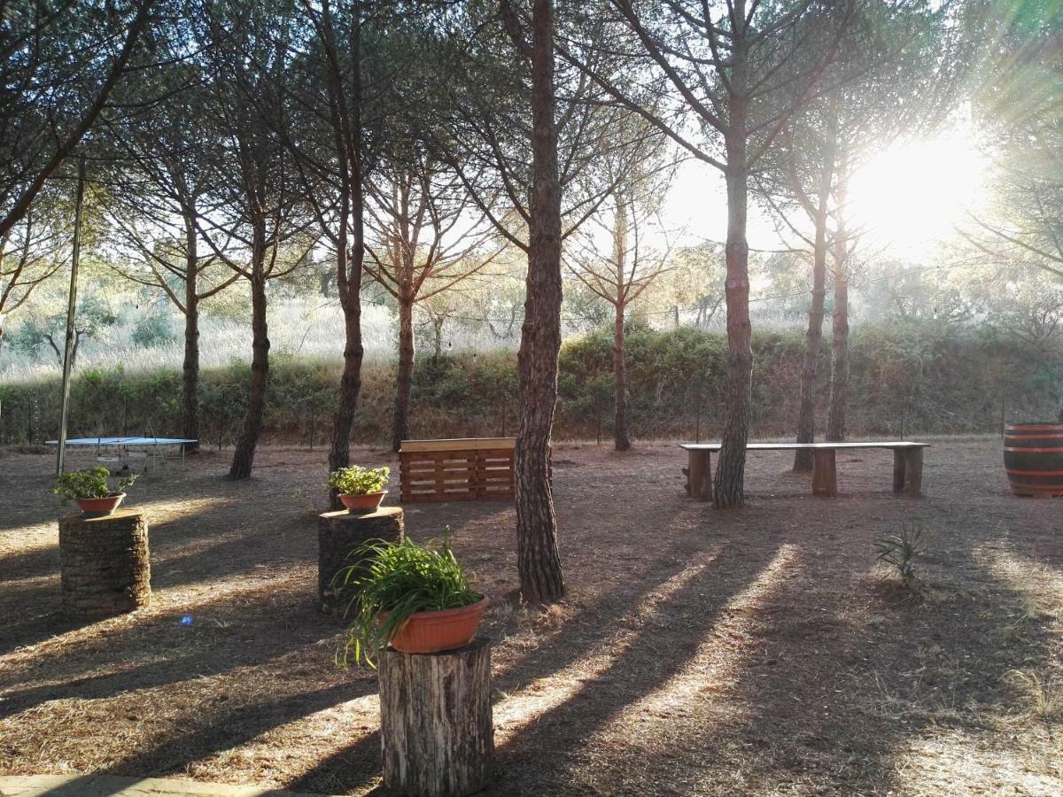 Dolce Vita Campiglia Marittima Luaran gambar